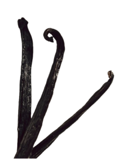 Three cured vanilla beans, dark and pliable
